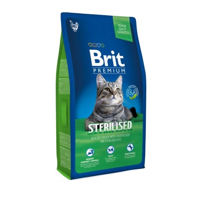 Brit Somonlu Kısır Kedi...